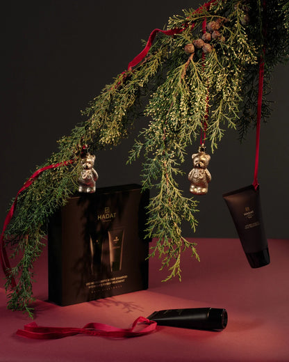 Intensive Repair Shampoo 70 ml and Liquid Silk Treatment 70 ml gift set holiday scene